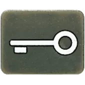 Символ для кнопки ключ; антрацит 33ANT Jung