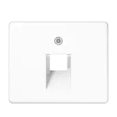 Крышка для одинарной телефонной и компьютерной розетки UAE; белая SL569-1UAWW Jung