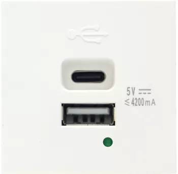 Розетка USB для зарядки двойная тип A + тип C 4200mA , 2 модуля 45х45 мм., Donel DUSB, белый